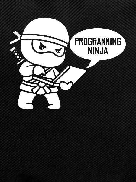 Entwickler Coder Programmierer Ninja