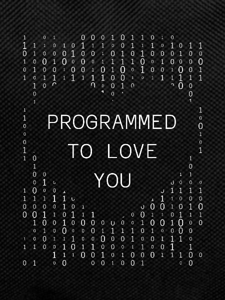 Developer Coder Programmer