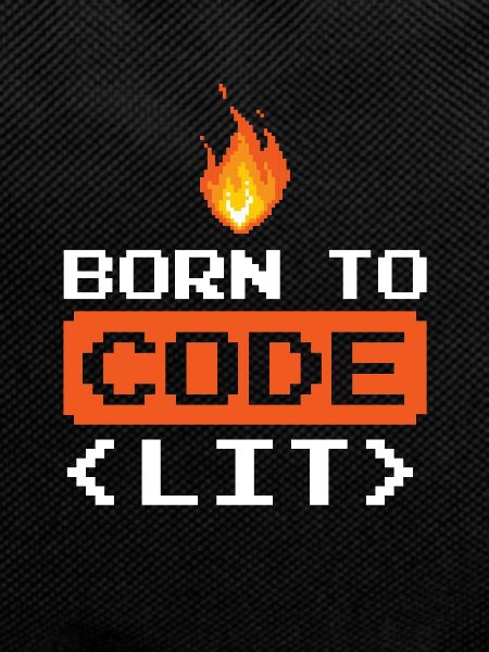 Developer Coder Programmer Funny