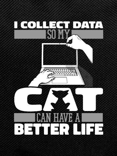 Data Science Data Analyst Katze
