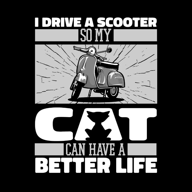 Motorroller Katze