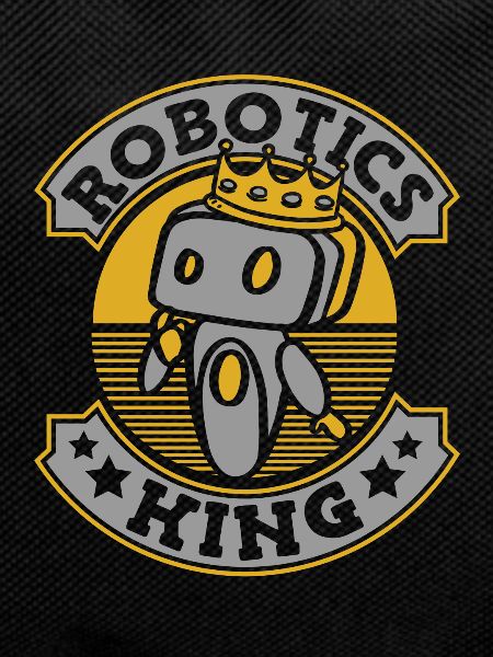 Robotics Ai Robot King