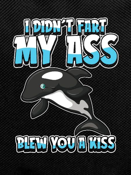 Orca Wal Schwertwal