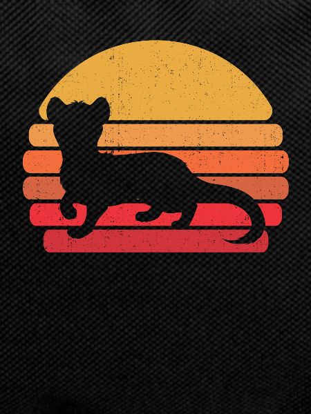 Ferret Iltis Cool