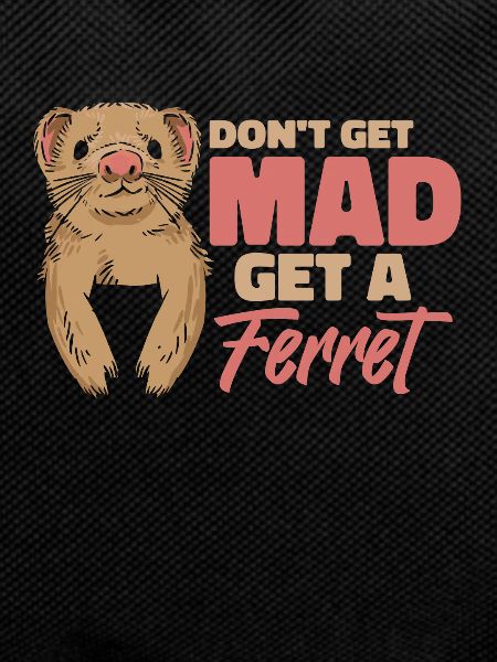 Ferret Polecat Cute