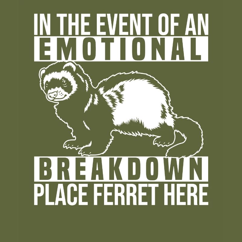 Ferret Iltis Funny