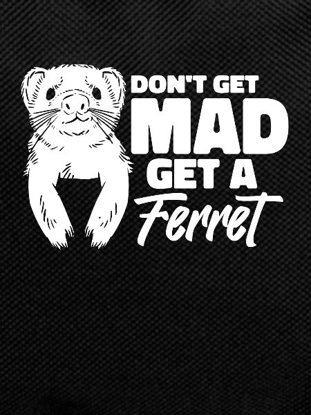 Ferret polecat cute