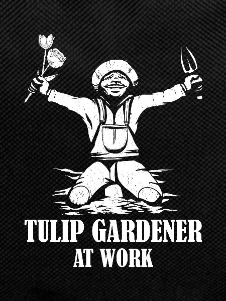 Tulips Tulips
