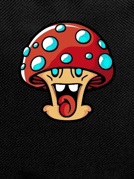 Mushroom Picker Mushrooms