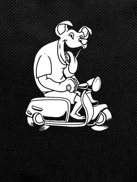 Scooter Dog