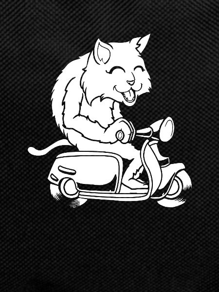 Scooter Cat