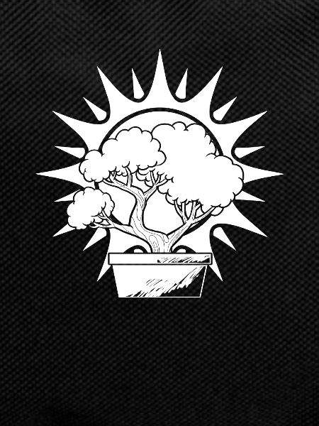 Bonsai Baum Sonne