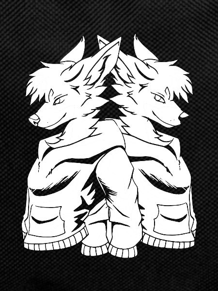 Furry Fandom Fursuits Füchse