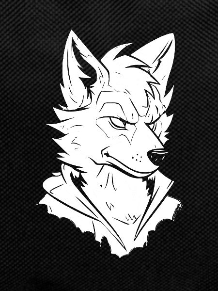 Furry Fandom Fursuits