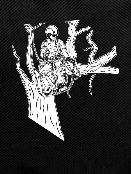 Baumpfleger Baumkletterer Arborist