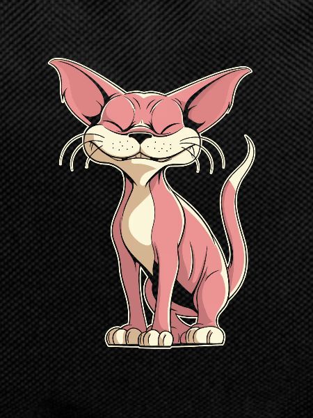 Sphynx Cat Funny