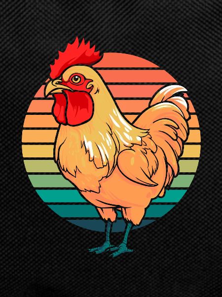 Poule de poulet