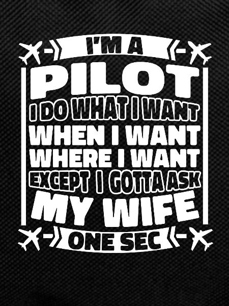 Flugzeug Pilot
