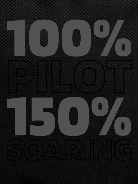 Flugzeug Pilot
