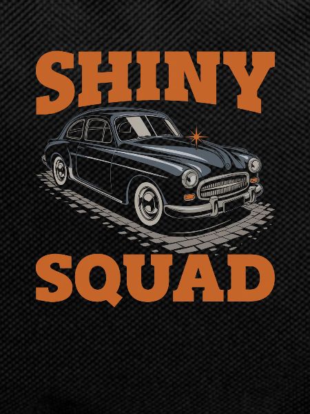 Car detailer squad