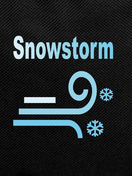 Snowstorm - Schneesturm