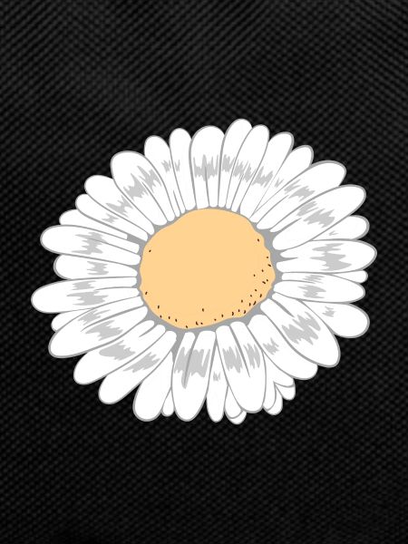 Fleur blanche