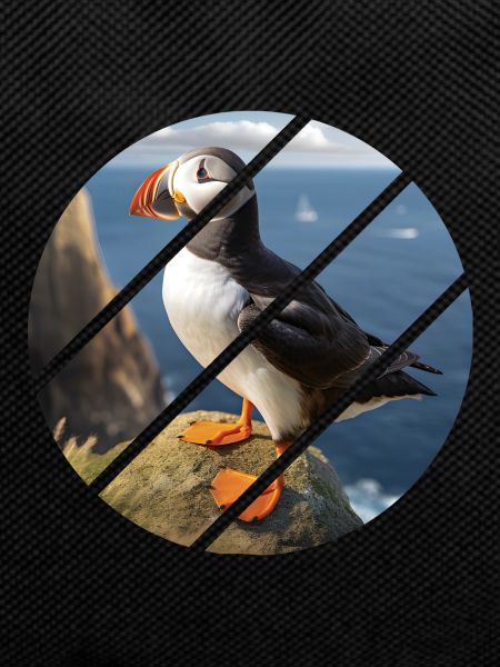 Puffin on a cliff
