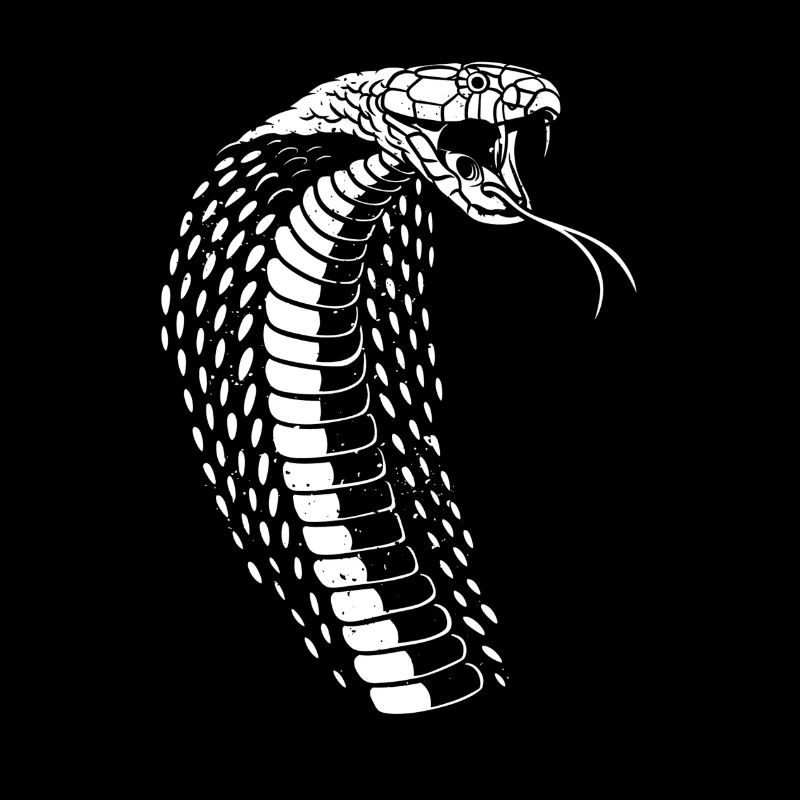 Cobra - Schlange