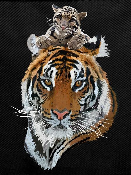 Bengal Tiger and Hazy Tiger