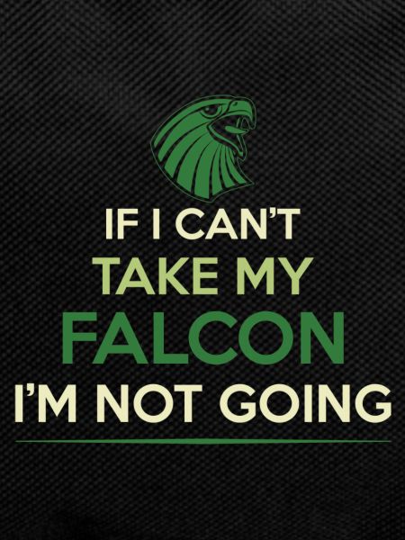Falconry Pub Hunting