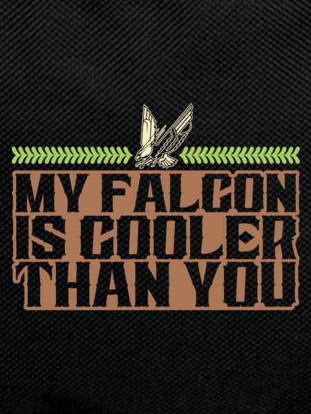 Falconry Cool Saying