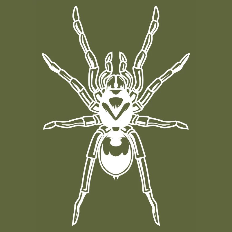 Spider Tarantula Tarantula