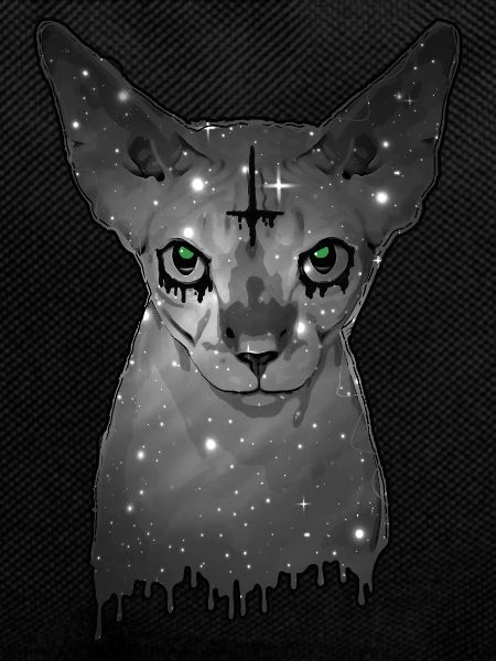 Egyptian cat Sphynx Cat