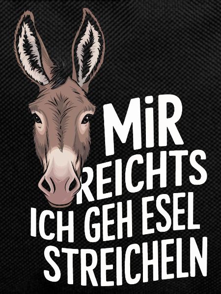 Donkey Donkey Mule Muli