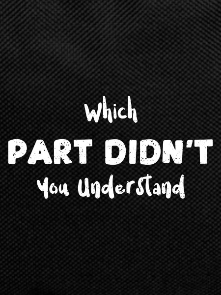 Which Part Didn't You Understand