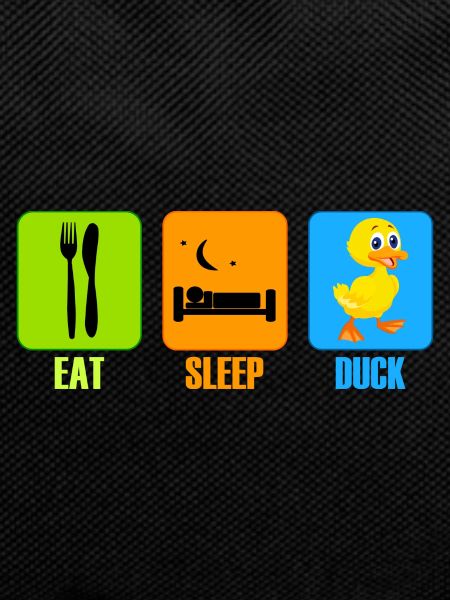 Duck Duck Eat Sleep Gift