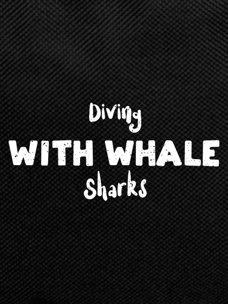 Diving With Whale Sharks - Diving