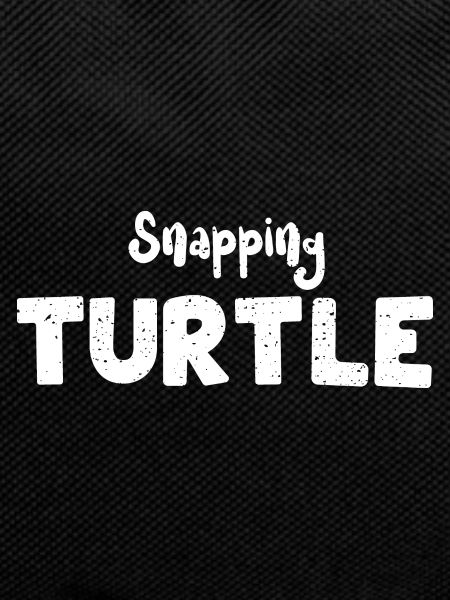 Snapping Turtle - Turtle