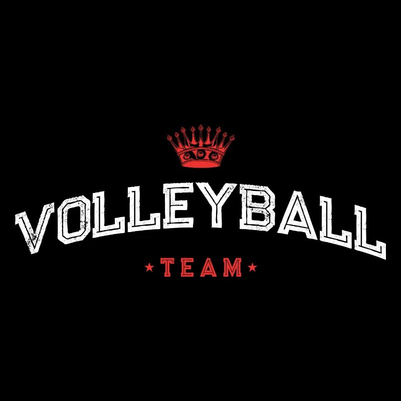 Équipe de volley-ball