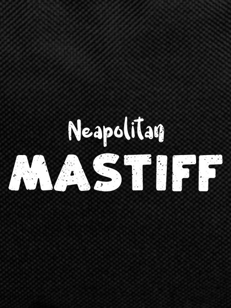 Neapolitan Mastiff - Dogs