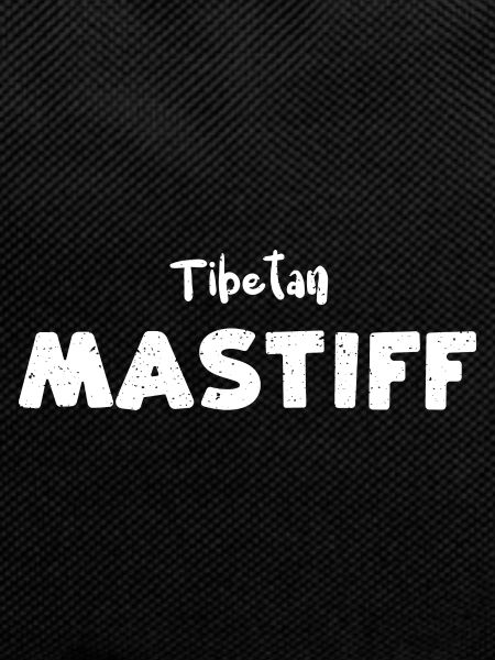 Tibetan Mastiff - Dogs
