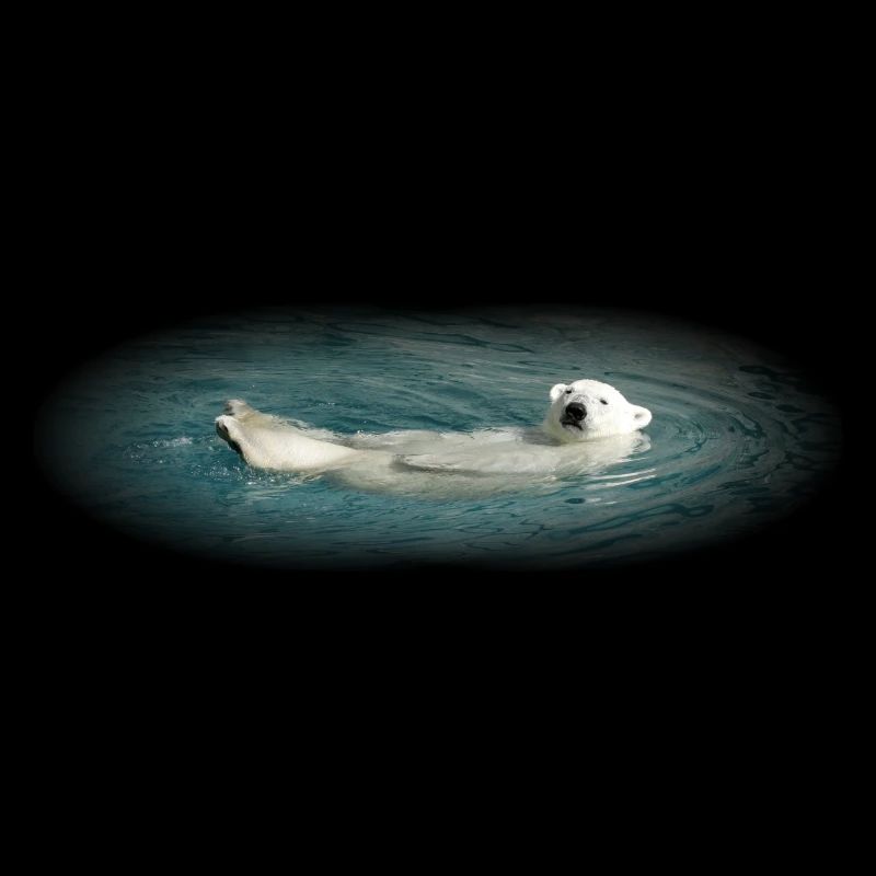 Bathing Polar Bear