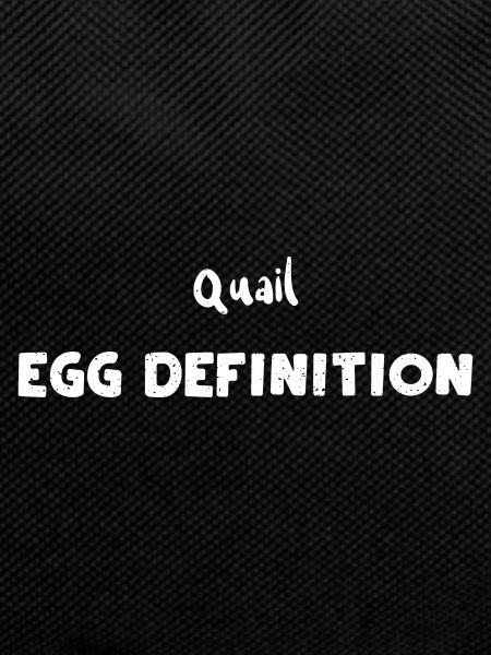 Quail Egg Definition - Eggs