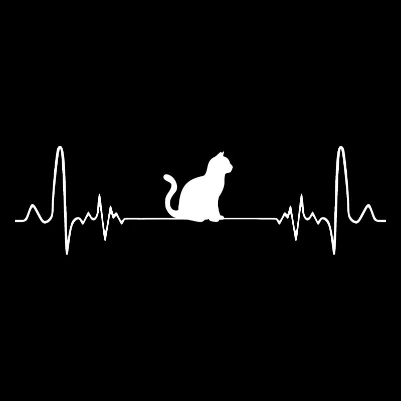 Chat battement de coeur