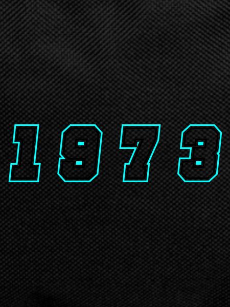 1973 Year Number
