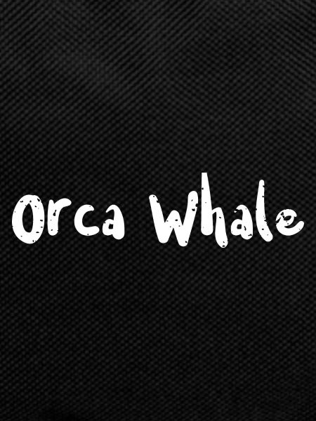 Orca Whale - Fishing