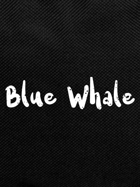 Blue Whale - Fishing