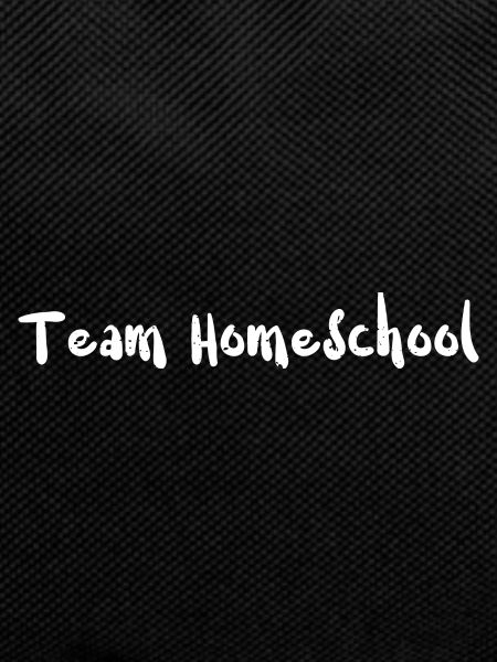 Team Homeschool - School