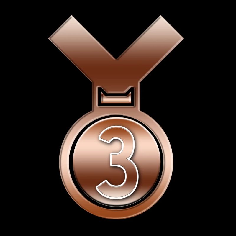 3rd Place Bronze achievement award medal