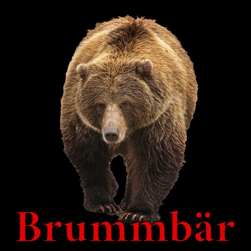 Brummbär